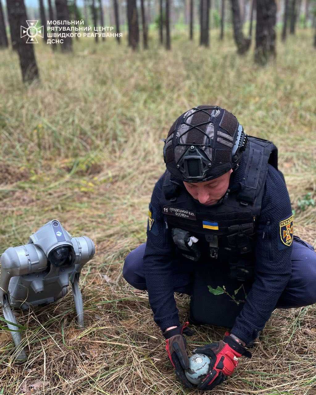 Фото: МВС України