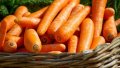 Carrot prices continue to fall in Ukraine