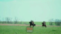 Russian army begins using horses in assault operations