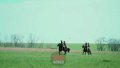 Russian army begins using horses in assault operations