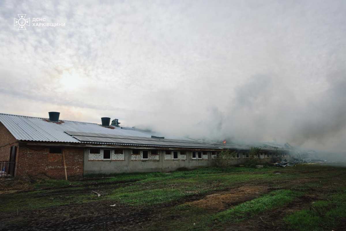 Фото: ДСНС