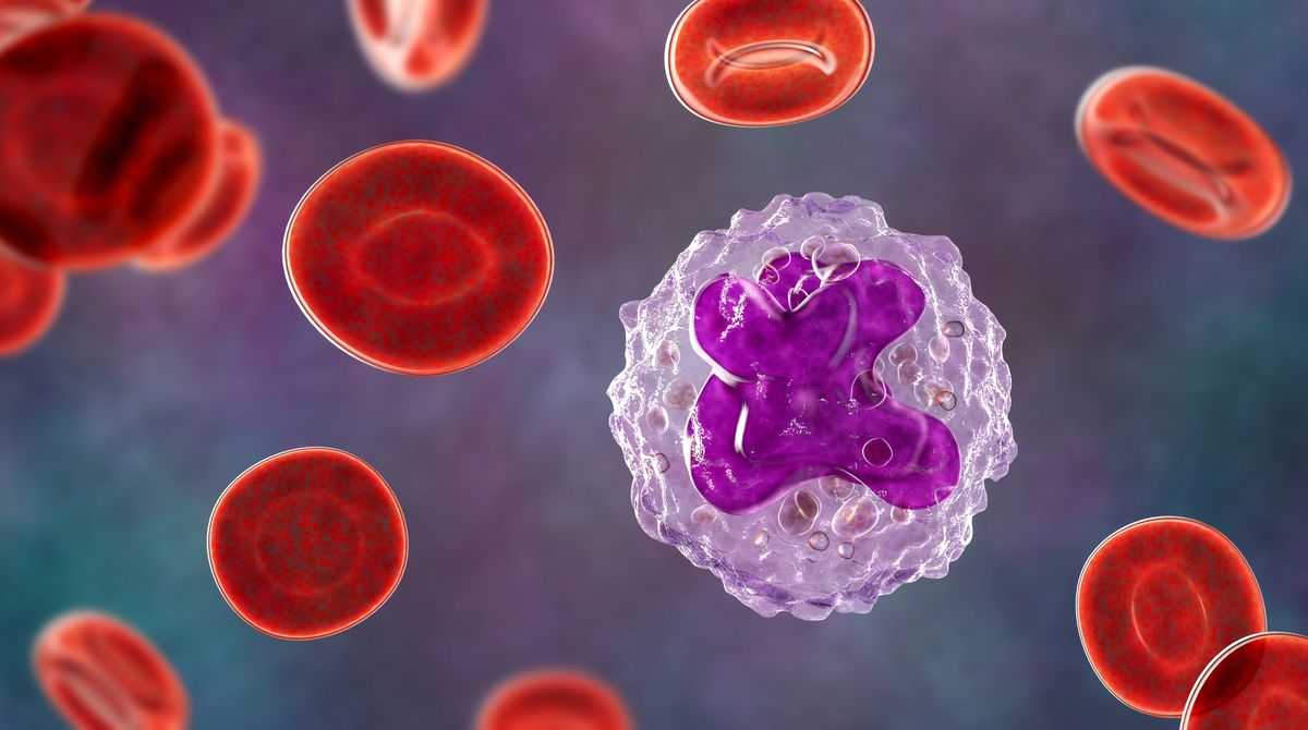 3D illustration of the immune system. Photo: Depositphotos