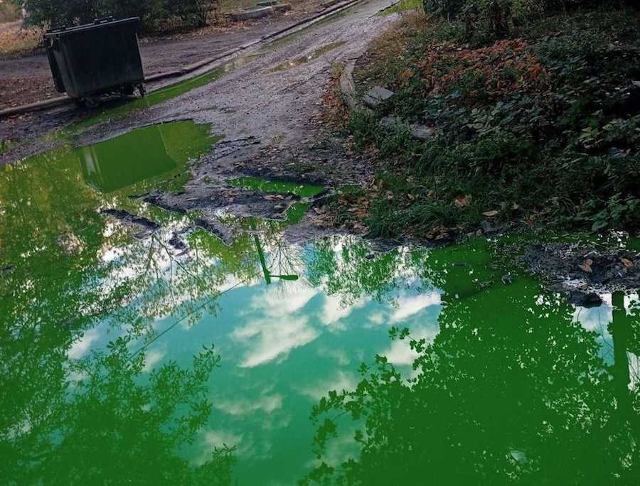 Зеленая вода на улицах оккупированной Макеевки. Фото: t.me/lifednr.