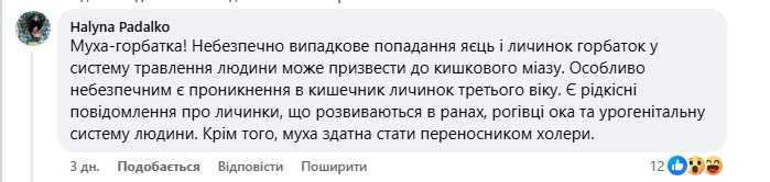 Коментар під дописом про невідому комаху. Скриншот:  Facebook/Комахи України