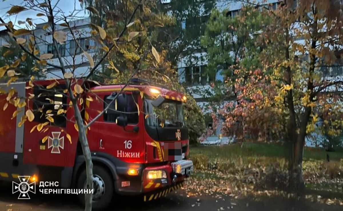 Фото: ДСНС
