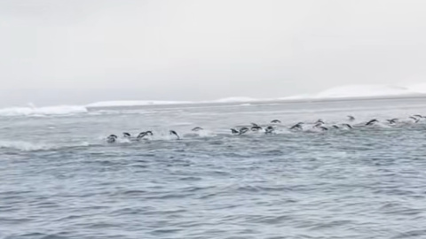 Скрин відео