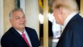Trump calls Orban fantastic and says he would win election