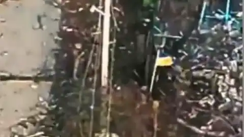 Кадр из видео. Скриншот видео Генштаба ВСУ