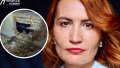 MP Stefanyshyna's house hit by Shahed fragment: photos of destruction