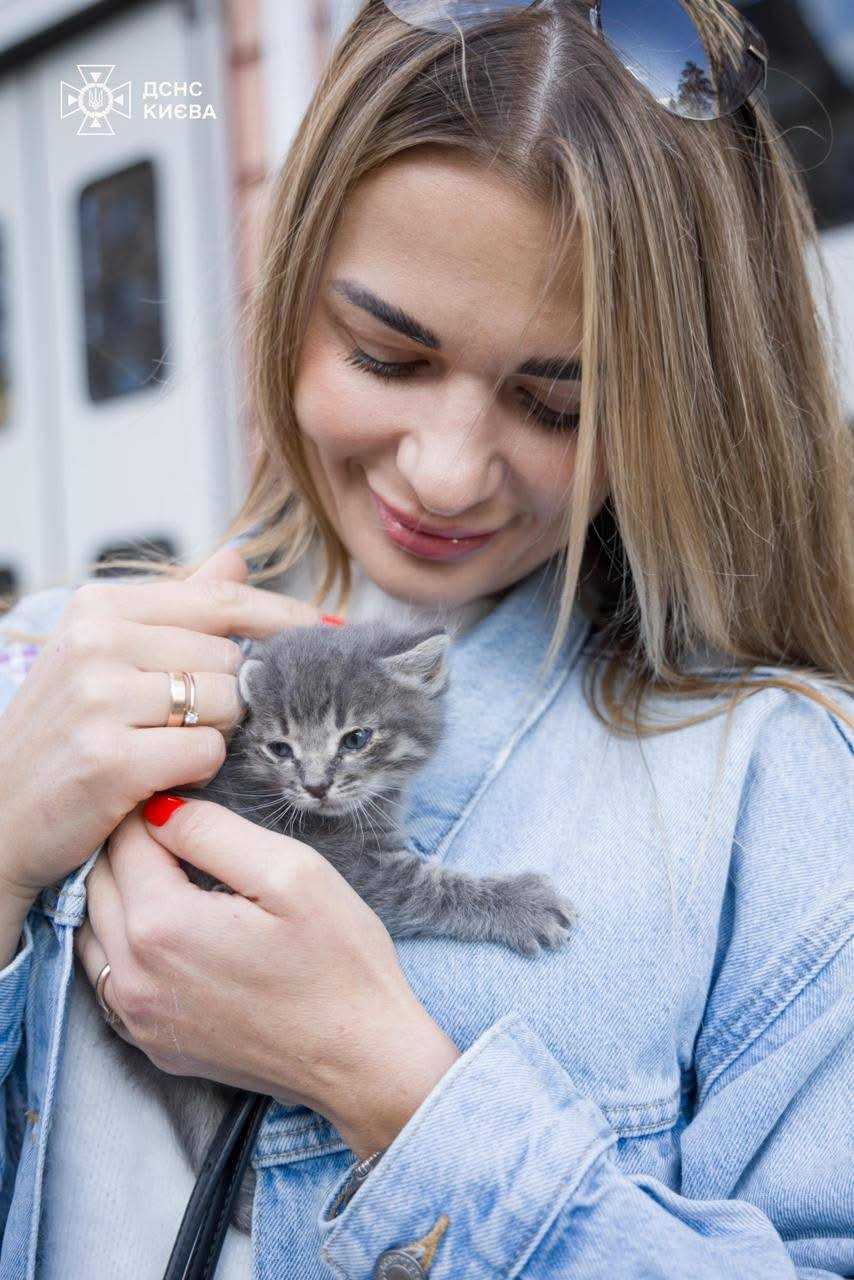 Одне з врятованих кошенят та його 