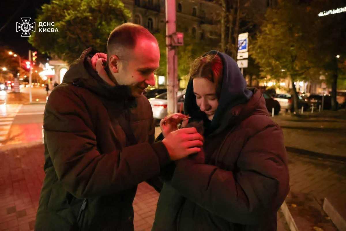 Одне з врятованих кошенят та його 