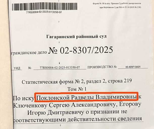 Иск в суд от Радведы Поклонской. Фото: Телеграм-канал росСМИ