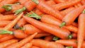 High-quality carrots becoming more expensive in Ukraine