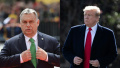 "You're denied!": Trump rejects Orban's request to ease sanctions against russian energy companies
