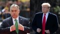 "You're denied!": Trump rejects Orban's request to ease sanctions against russian energy companies