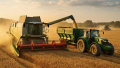 Wheat production to fall by 1.6 million tons: global forecast