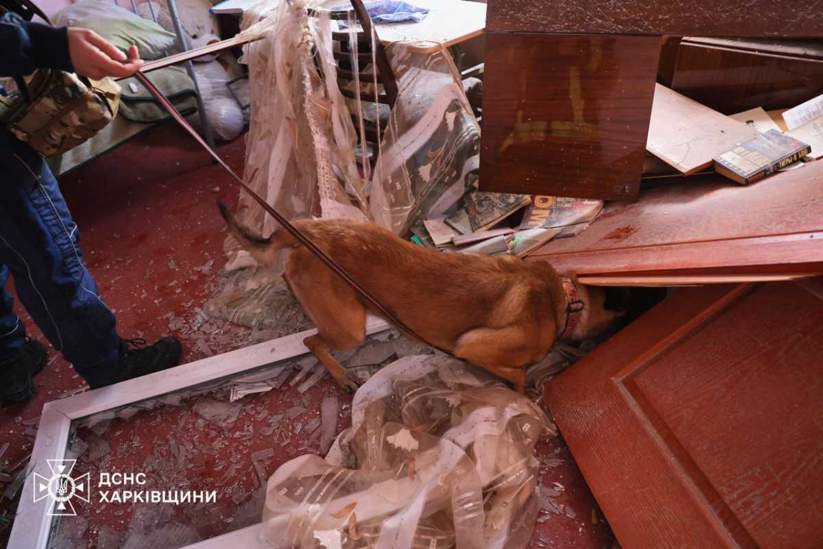 Россияне атаковали Харьковщину. Фото: ГСЧС