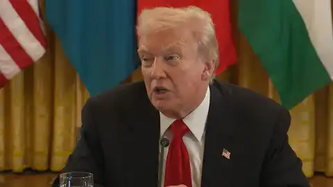 Дональд Трамп. Скрин видео