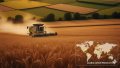 Global grain production will reach a record level in 2025. The visualization was created using AI elements.