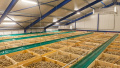 Ukrainian farmers have nowhere to store vegetables, next season there should be more vegetable storages