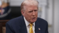 Trump not getting into details of peace plan on Ukraine - US official says