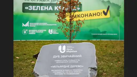 Денис Попович: за програмою Зеленського "Зелена країна" щоденно мали висаджувати 612 745 дерев