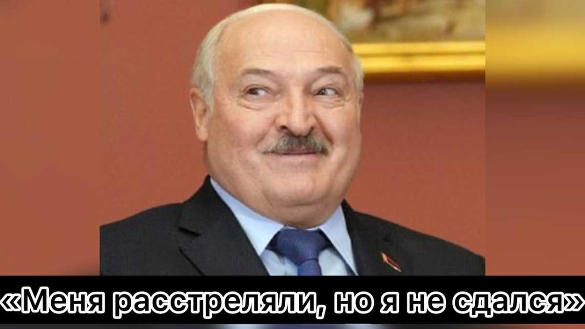 Из всего, казалось бы, бесконечного перечня профессий, которыми, по его собственным заверениям, овладел Лукашенко, и которые давно стали мемами в сети, борона историка его, кажется, все же обошла стороной.