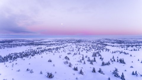 Зима. Фото: pexels