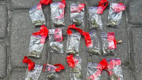 Наркотики. Фото: Национальная полиция