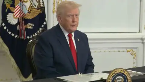 Дональд Трамп. Скриншот видео