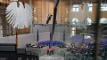 German parliamentarians approves 2026 budget: Germany allocated EUR 11.5 billion to Ukraine