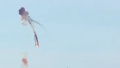 The fall of a russian missile. Photo: screenshot of the video.