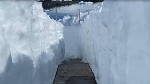 Скрин відео.