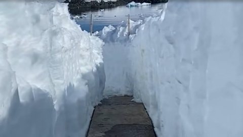 Скрин відео.