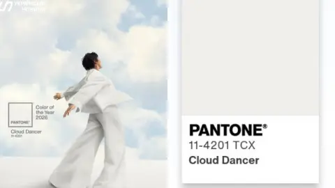 Цвет 2026 года от Pantone