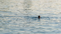 Ukrainian Ubisoft programmer tried to swim across Dniester to escape from Ukraine
