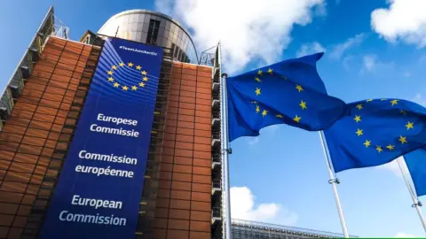 Еврокомиссия навязывает Украине модели перезагрузки ГБР, НПУ, ОГП, которых не существует в ЕС, – Власенко