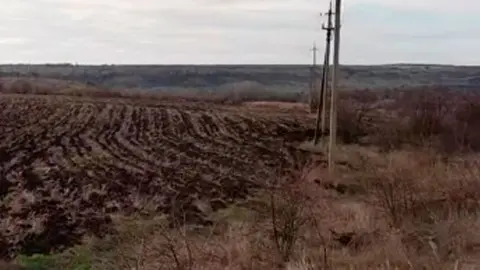 Уничтоженное кладбище. Фото: Виталий Камозин