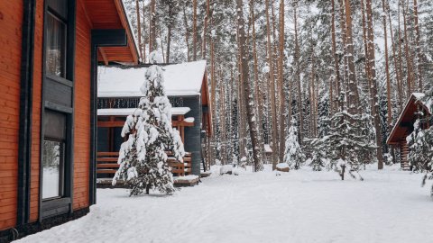 Зима. Фото: pexels