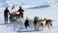 A sledge patrol. Photo: Norwegian Armed Forces