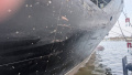 Russia attacks civilian ship under Panamanian flag in Black Sea, injured reported - Regional Military