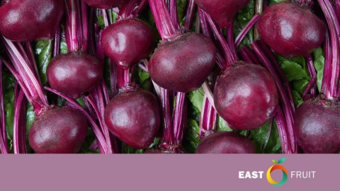 In Ukraine, stocks of quality products decreasing and prices for table beets increasing