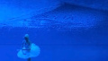 Obscene inscription appears in Bolshoi Theater during The Nutcracker ballet. Performance