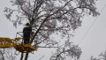 Almost all of Odesa Region has lost power due to the weather. Photo: DTEK Odesa Grids.