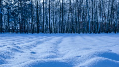 Зима. Фото: pixabay
