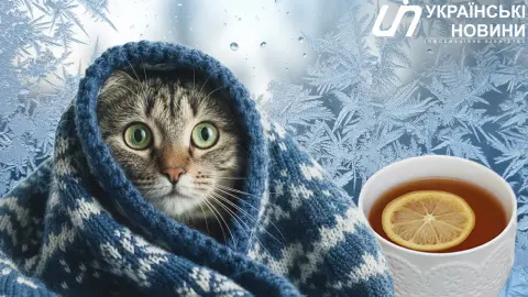 Колаж: УН
