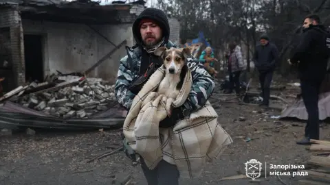 Собаки из пострадавшего приюта. Фото: Запорожский городской совет