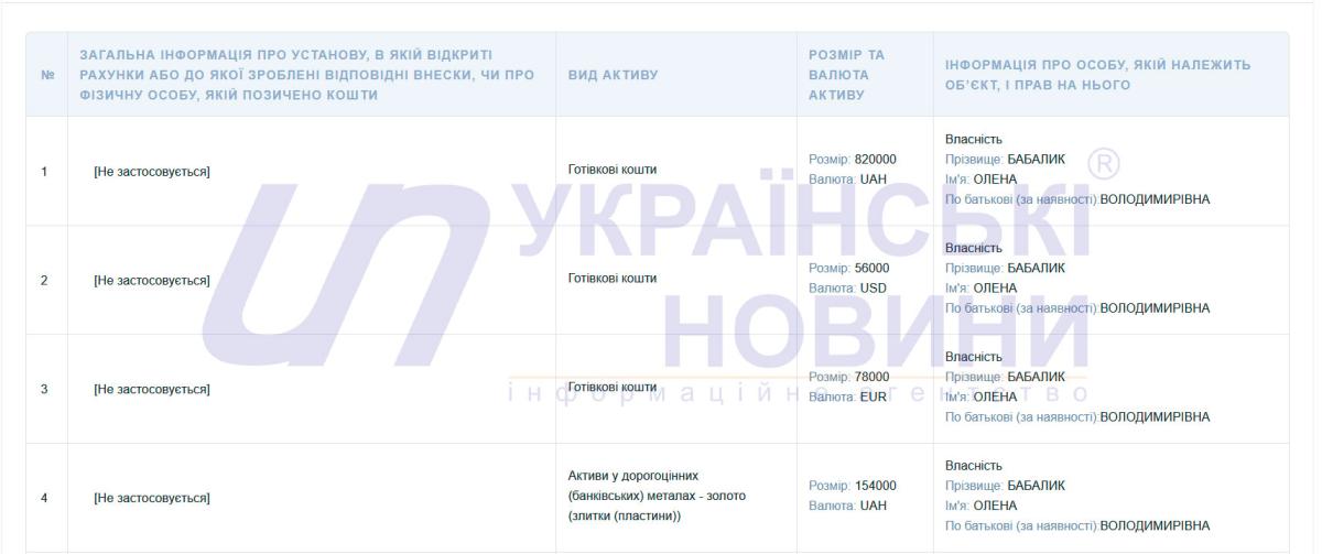 Фрагмент декларація. Скриншот: УН