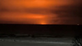 Screenshot of the video