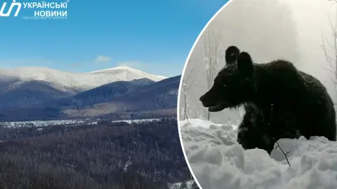Фото: Ужанський нацпарк. Колаж: УН